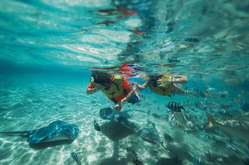 Cozumel: Snorkel and Swim with Stingrays - Key points to know before you book