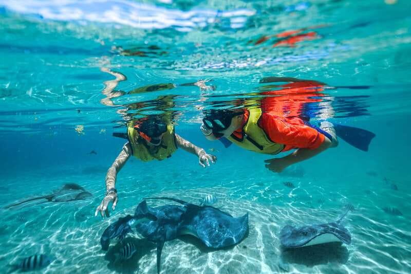 Cozumel: Snorkel and Swim with Stingrays - Who should choose this activity?