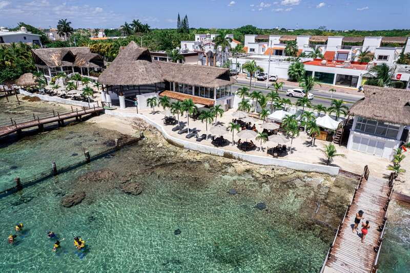 Cozumel: Snorkel and Swim with Stingrays - What the Cozumel stingray encounter is really like