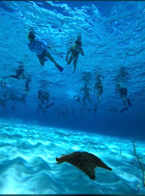 Cozumel: snorkeling on reefs + visit to "El Cielo" - What this four-hour Cozumel tour is really like