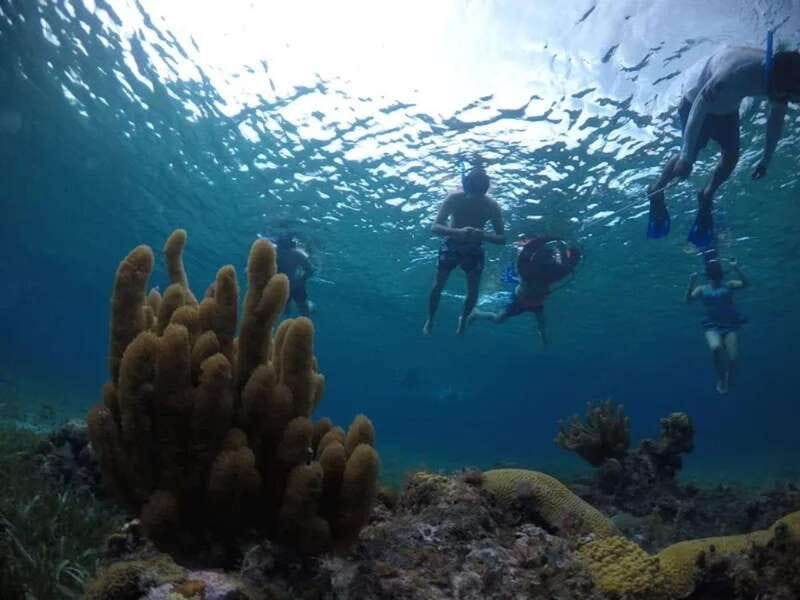 Cozumel: snorkeling on reefs + visit to "El Cielo" - Equipment, sunscreen, and what to bring