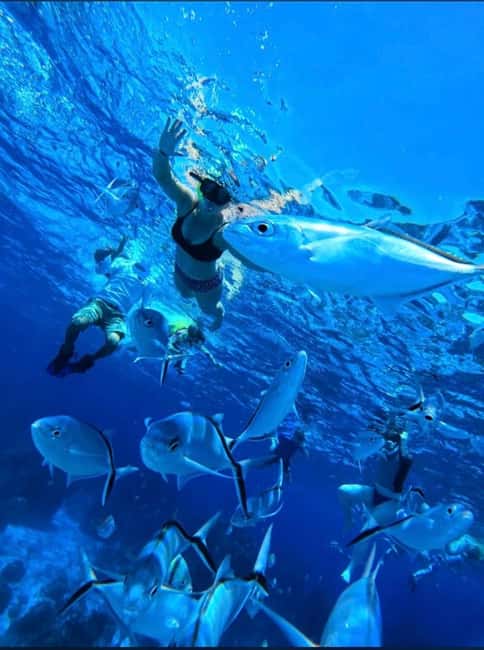 Cozumel: snorkeling on reefs + visit to "El Cielo" - Finding module 6 at the ferry pier