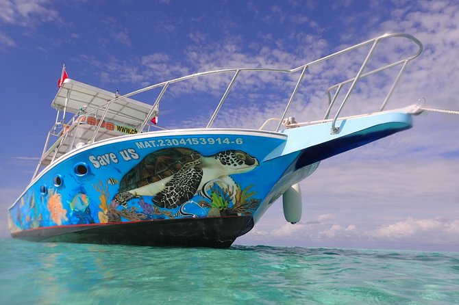 Cozumel Snorkeling Tour at Palancar & Colombia Reefs and El Cielo - Colombia Reef starts the underwater portion