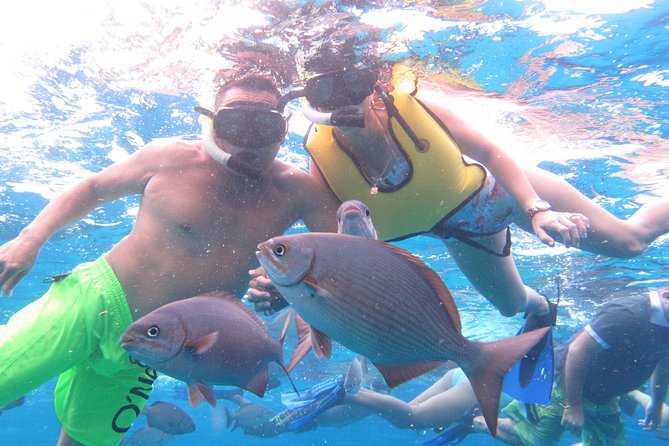 Cozumel Snorkeling Tour at Palancar & Colombia Reefs and El Cielo - Who will enjoy this Cozumel outing