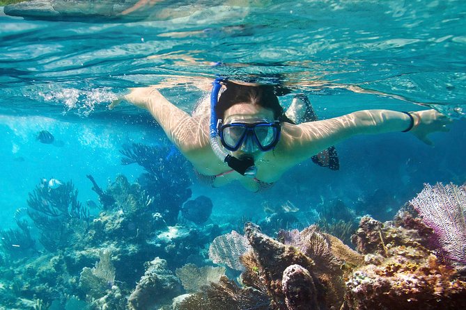 Cozumel Snorkeling Tour at Palancar & Colombia Reefs and El Cielo - Palancar Reef brings larger underwater scenery