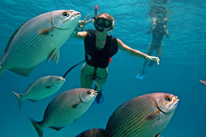 Cozumel Snorkeling Tour: Palancar, Columbia and El Cielo Reefs - Key points before you book