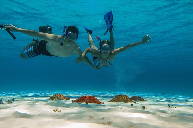Cozumel Snorkeling Tour: Palancar, Columbia and El Cielo Reefs - Why this Cozumel snorkeling trip works well in half a day