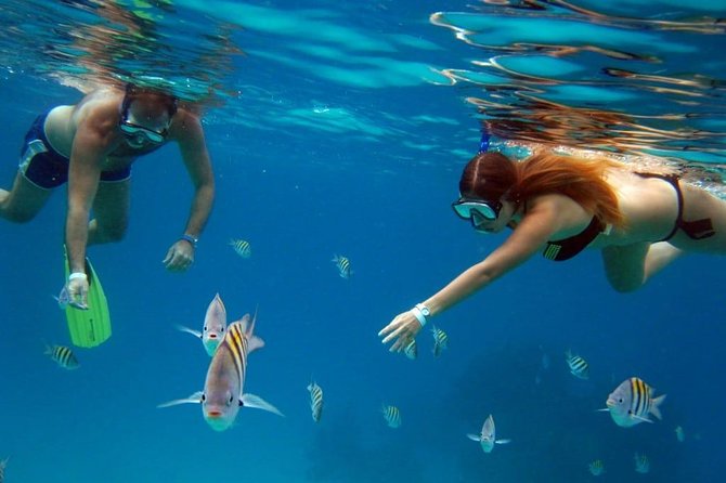 Cozumel Snorkeling Tour: Palancar, Columbia and El Cielo Reefs - Palancar Reef: the main underwater attraction