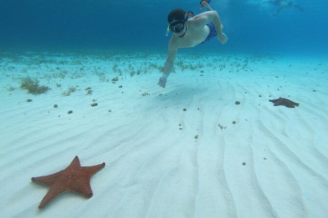 Cozumel Snorkeling Tour: Palancar, Columbia and El Cielo Reefs - Who should choose this tour
