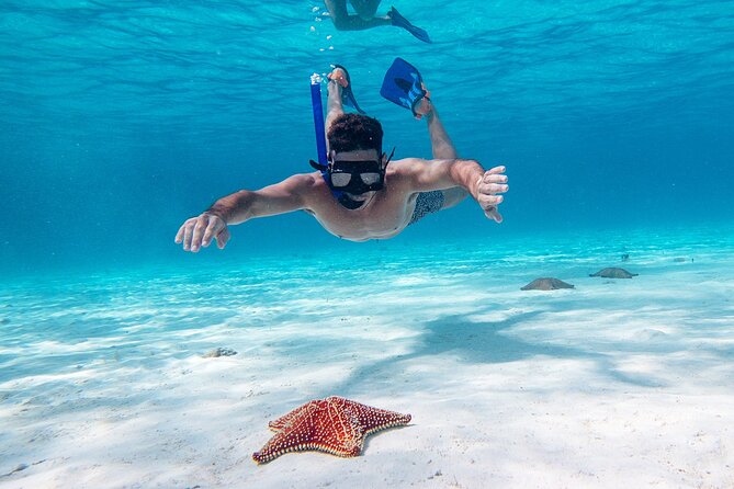 Cozumel Starfish and Tropical Reef Snorkeling by Powerboat with Lunch - Why Cozumel is worth the trip from Cancun