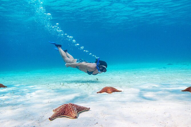 Cozumel Starfish and Tropical Reef Snorkeling by Powerboat with Lunch - Who will enjoy this Cozumel outing most