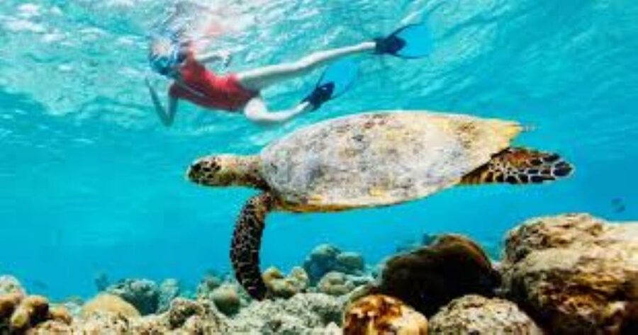Crete: Coastline Snorkeling Cruise from Hersonissos Port - Booking Advice for a Smoother Day