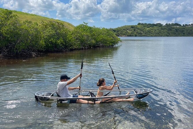Crystal Kayak & Snorkel Eco Tour (with transfer) - Seeing Antigua through the floor of a kayak