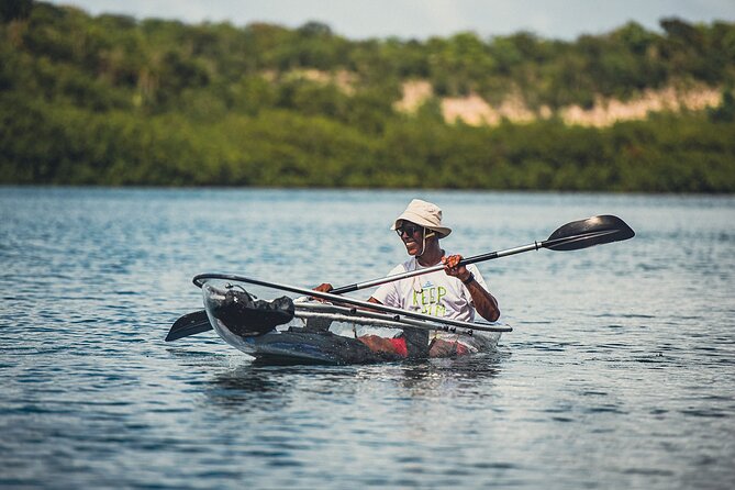 Crystal Kayak & Snorkel Eco Tour (with transfer) - Guides who make the difference