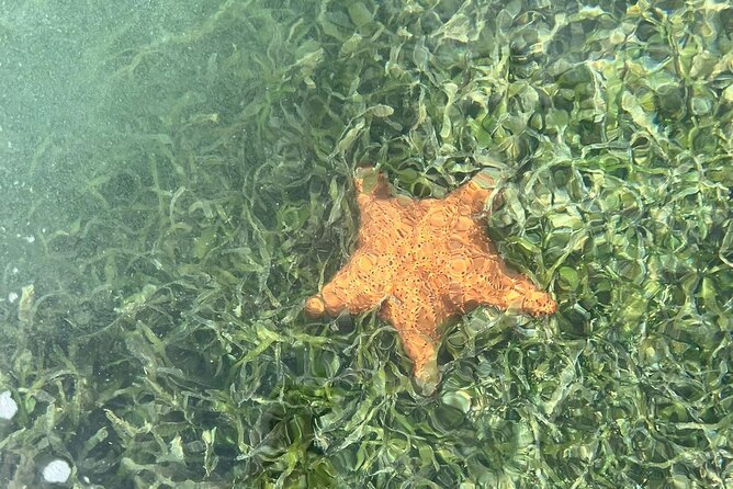 Crystal Kayak & Snorkel Eco Tour (with transfer) - Pickup, arrival, and the useful base facilities
