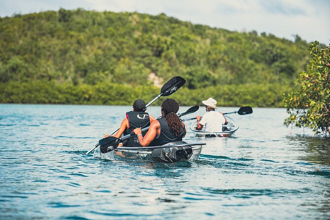 Crystal Kayak & Snorkel Eco Tour (with transfer) - Snacks, rum punch, and the finish