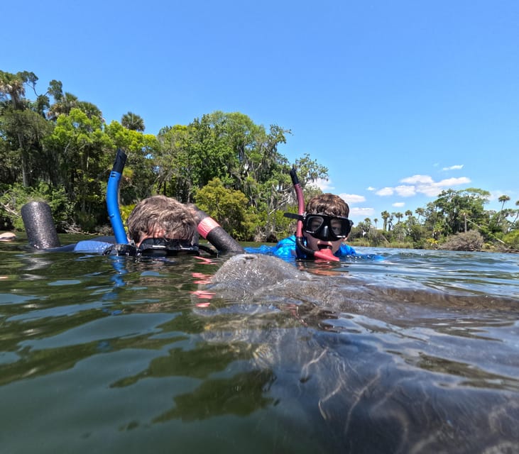 Crystal River: Guided Manatee Snorkeling Tour - What makes the guides valuable