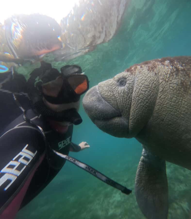 Crystal River: Guided Manatee Snorkeling Tour with Photos - Who will enjoy this tour most