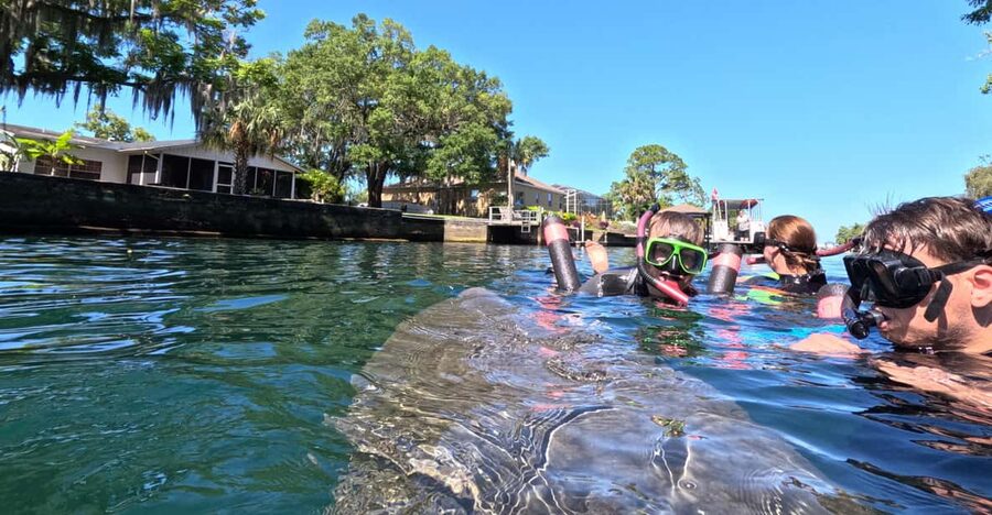 Crystal River: Guided Manatee Snorkeling Tour - Cruising into Kings Bay