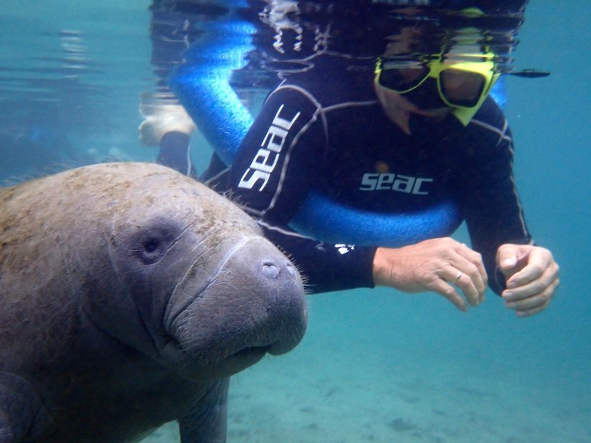 Crystal River: Manatee Snorkel Tour w/ In-Water Photographer - A covered pontoon ride to Three Sisters Springs