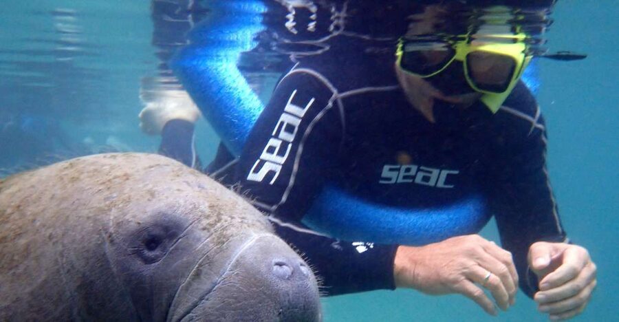 Crystal River: Manatee Snorkel Tour w/ In-Water Photographer - Is this a good family activity?