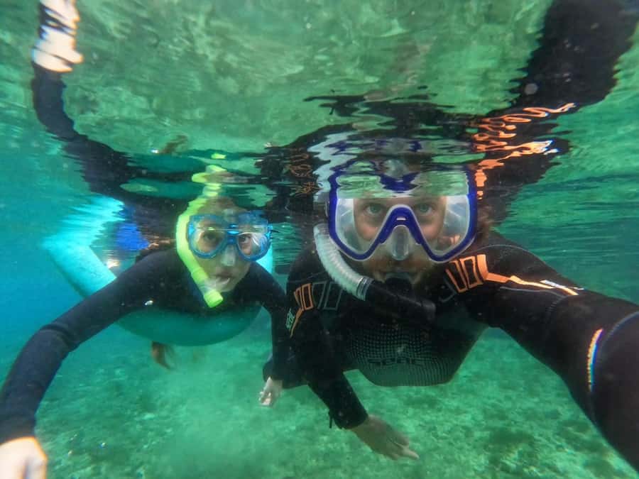 Crystal River: Small-Group Manatee Snorkeling Tour - Why Crystal River is the right place for manatees