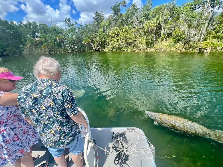Crystal River: Small-Group Manatee Snorkeling Tour - The six-person boat changes the mood
