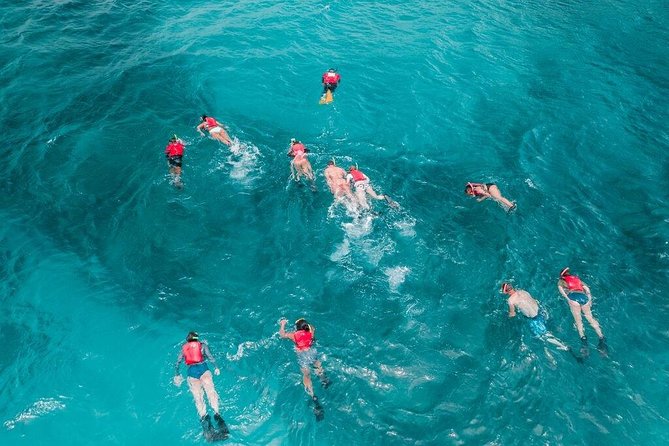 Culebra Snorkel and Turtle Adventure with Transport - Who should book this Culebra day trip