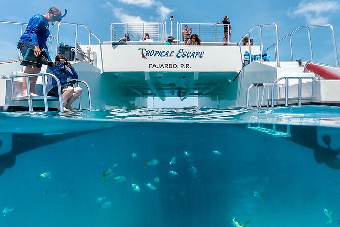 Culebra Snorkeling Tour by Catamaran from Fajardo - Getting to Puerto del Rey Marina in Fajardo