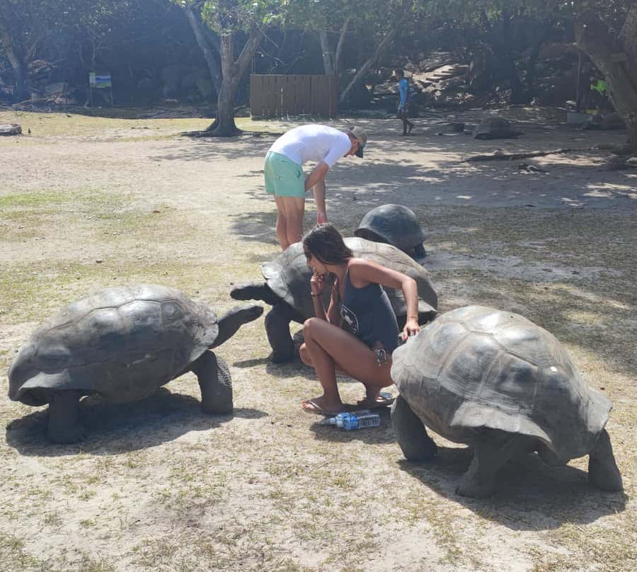 Curieuse Guided Tour, St Pierre, BBQ & 2 Snorkel Stops - Why Curieuse makes this a full-day highlight from Praslin