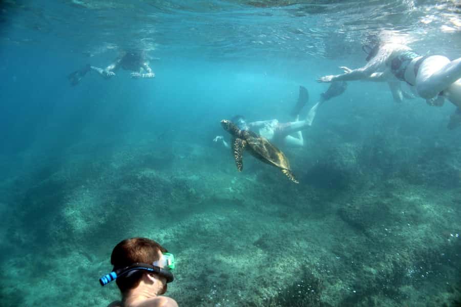 Curieuse Guided Tour, St Pierre, BBQ & 2 Snorkel Stops - The first snorkeling stop near Praslin