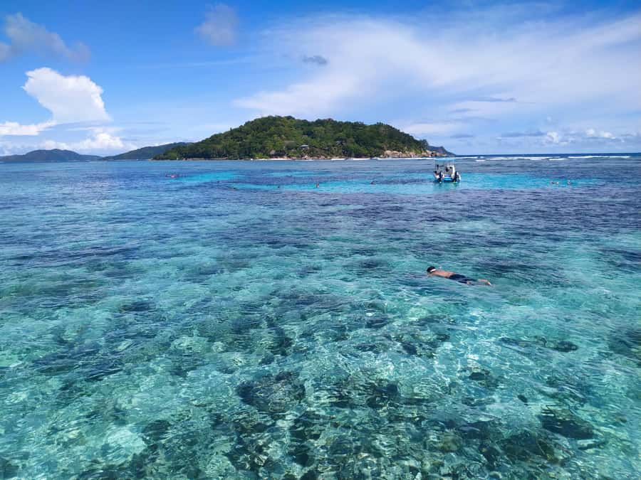 Curieuse Guided Tour, St Pierre, BBQ & 2 Snorkel Stops - Should you book the Curieuse guided tour?