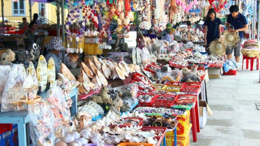 Da Nang/Hoi An:Explore Cham Island and Snorkeling tour 1 Day - Key points at a glance