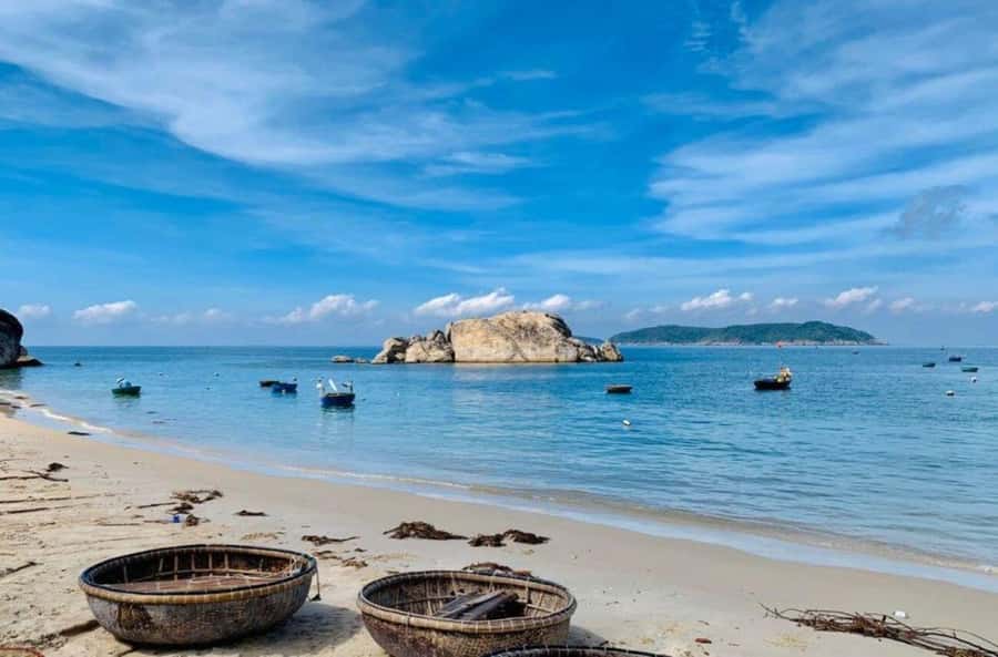 Da Nang/Hoi An:Explore Cham Island and Snorkeling tour 1 Day - Returning to Hoi An by mid-afternoon