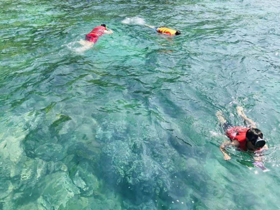 Da Nang/Hoi An:Explore Cham Island and Snorkeling tour 1 Day - What the $34 price really covers