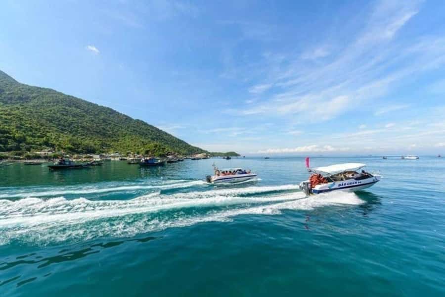 Da Nang/Hoi An:Explore Cham Island and Snorkeling tour 1 Day - Who should choose this Cham Island outing