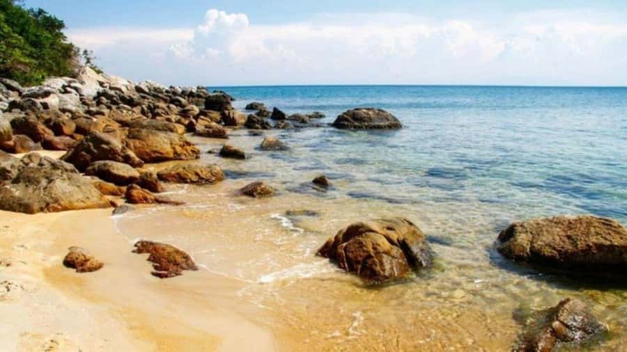 Da Nang/Hoi An:Explore Cham Island and Snorkeling tour 1 Day - Should you book it?