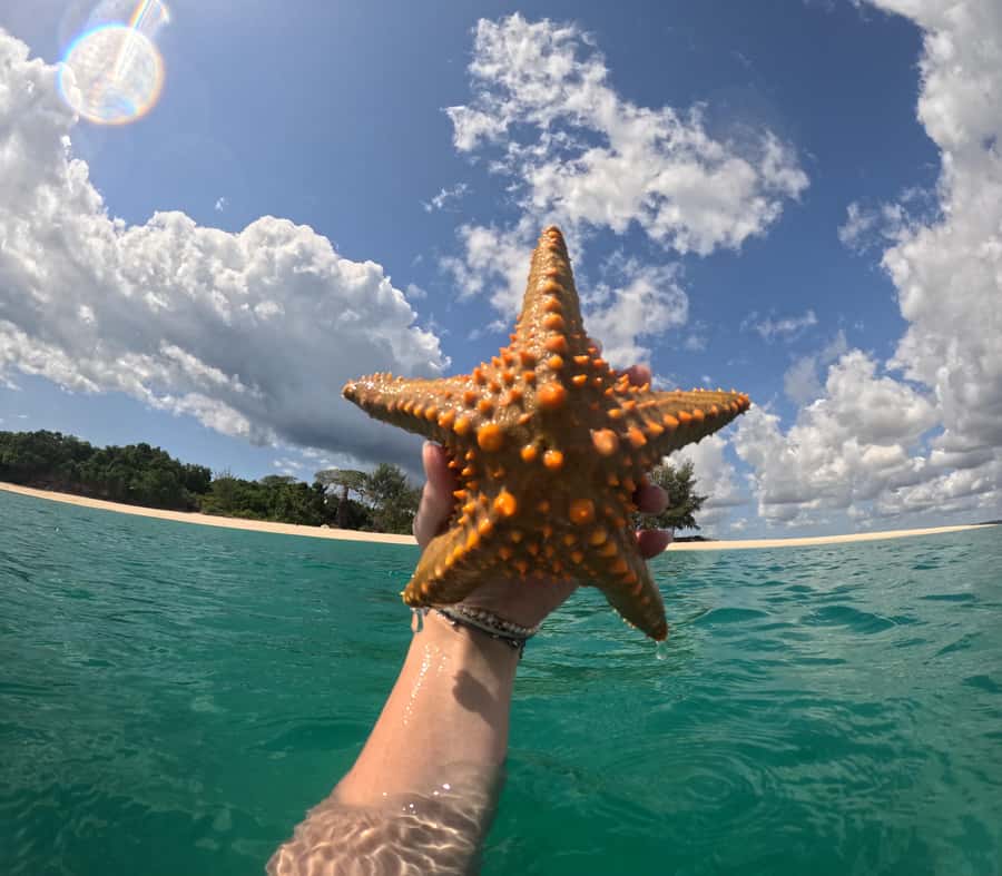 DAR ES SALAAM:BONGOYO ISLAND SNORKELING TOUR & BEACH ESCAPE - A walk through the island’s forest