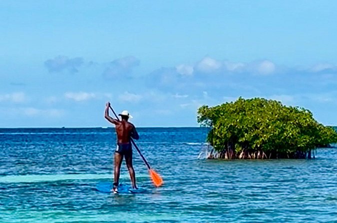 Day Lagoon 100% Sailing stops Snorkelling Paddle - Passing Îlet Caret with care