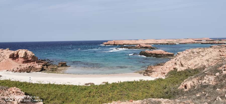 Daymaniyat Island: Snorkelling Tour with Tasty Lunch - What the $60 price includes