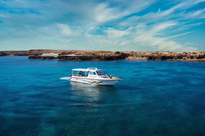 Daymaniyat Islands Snorkeling Sharing Trip - Sea conditions and the limits of a water-based day