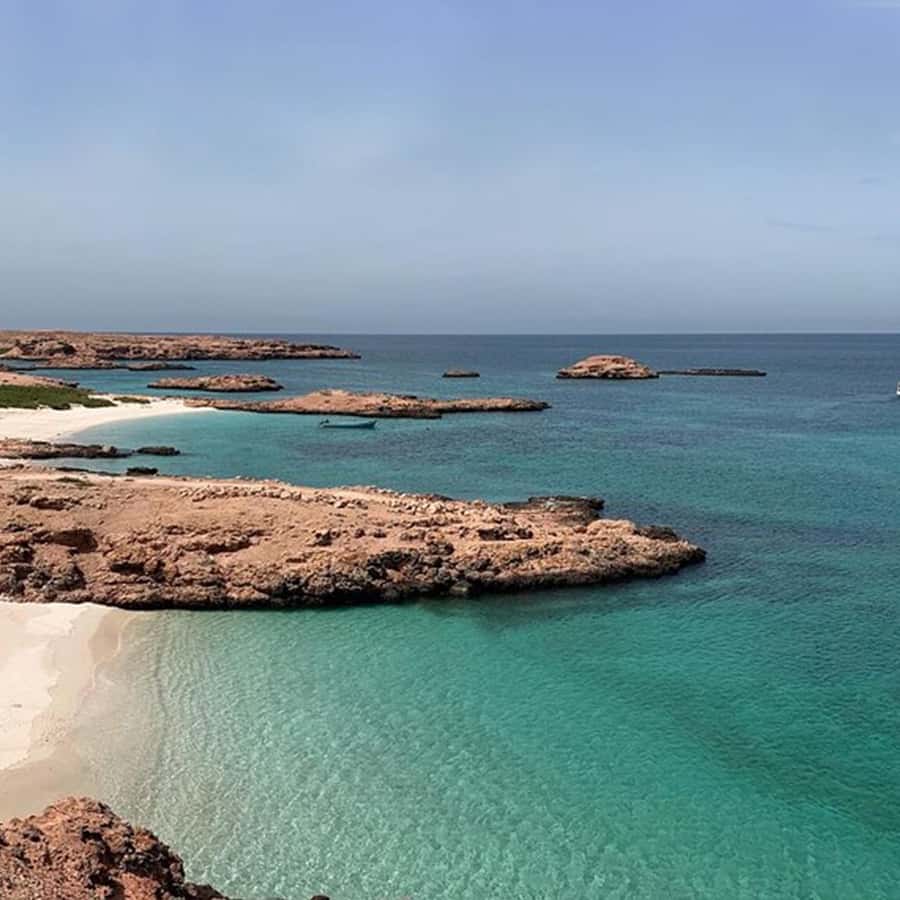 Daymaniyat Islands Snorkeling with Picnic Lunch - Picnic lunch, fruit, and drinks on the island