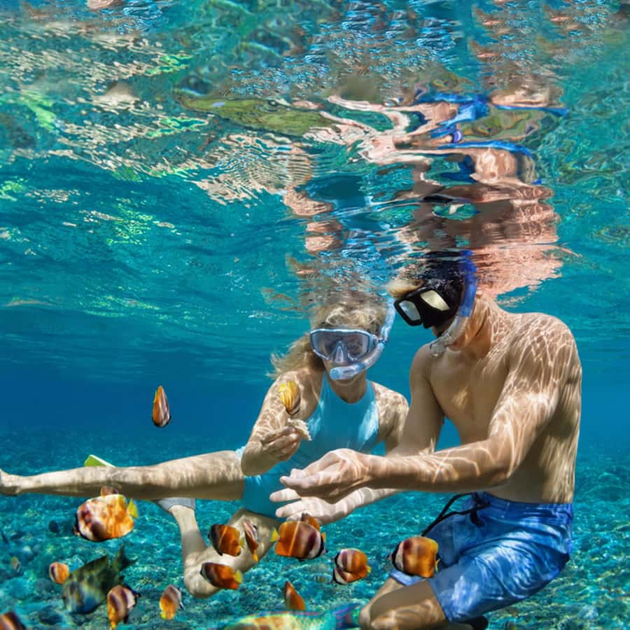 Daymaniyat Islands Snorkeling with Picnic Lunch - Practical details for a smoother day