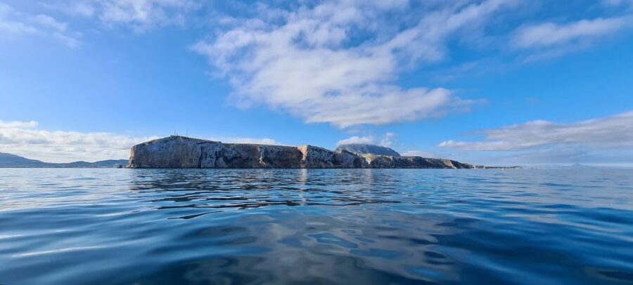 Denia: Cabo San Antonio Snorkeling Tour - Key points to know before you book