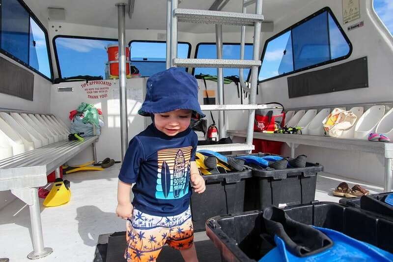 Destin: Snorkeling Cruise with 2 Stops and Dolphin Watching - Key points to know before you book