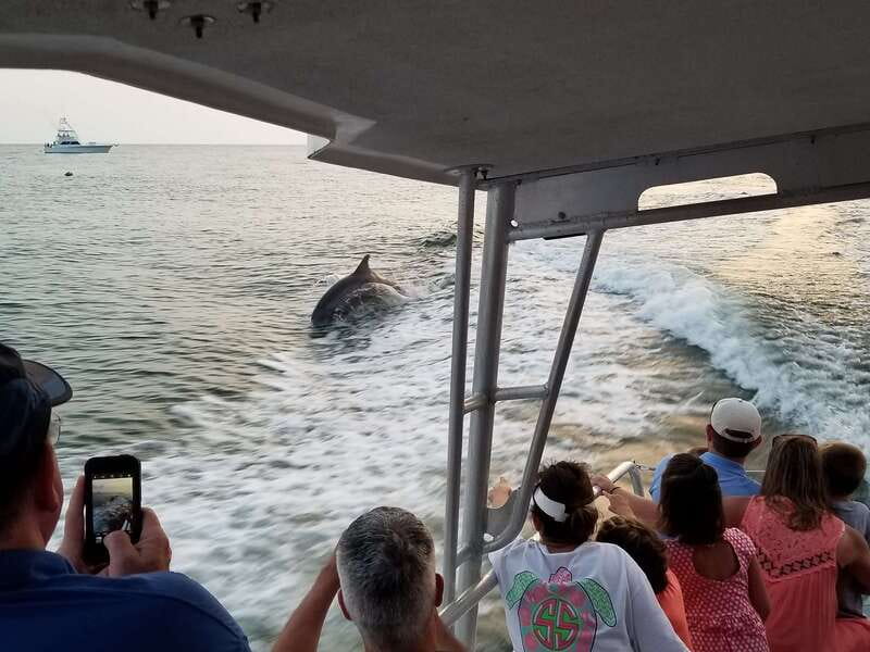 Destin: Snorkeling Cruise with 2 Stops and Dolphin Watching - Stop one: getting comfortable in the water