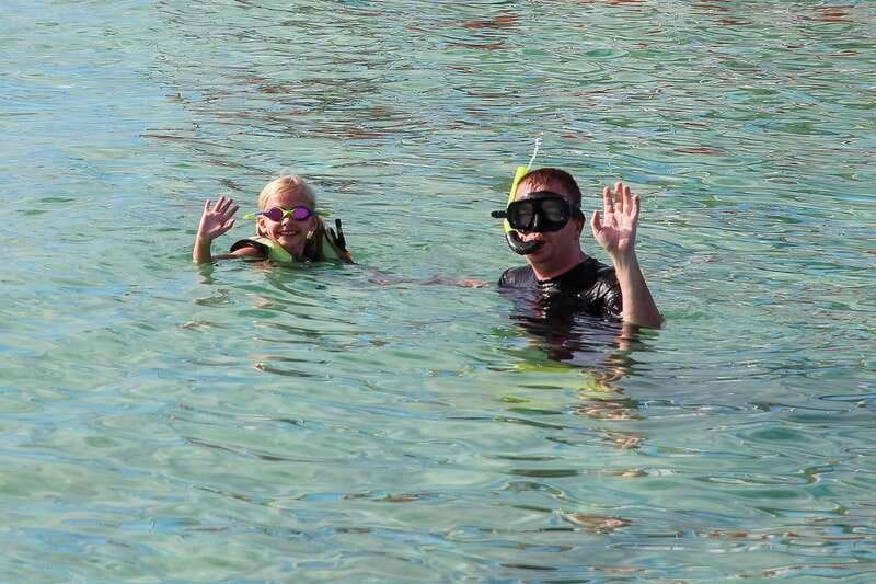 Destin: Snorkeling Cruise with 2 Stops and Dolphin Watching - How much wildlife should you expect?
