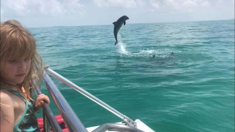 Destin: Snorkeling Cruise with 2 Stops and Dolphin Watching - What to bring and what to leave behind