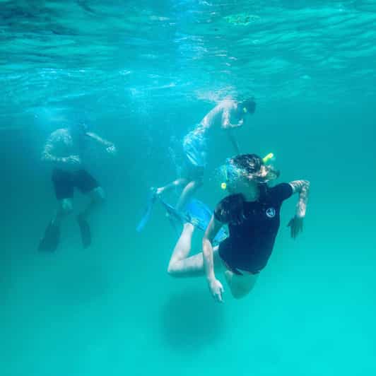 Destin: Snorkeling, Dolphins, and Crab Island - Key points to know before you book