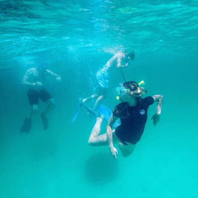 Destin: Snorkeling, Dolphins, and Crab Island - A private Destin charter instead of a fixed boat tour